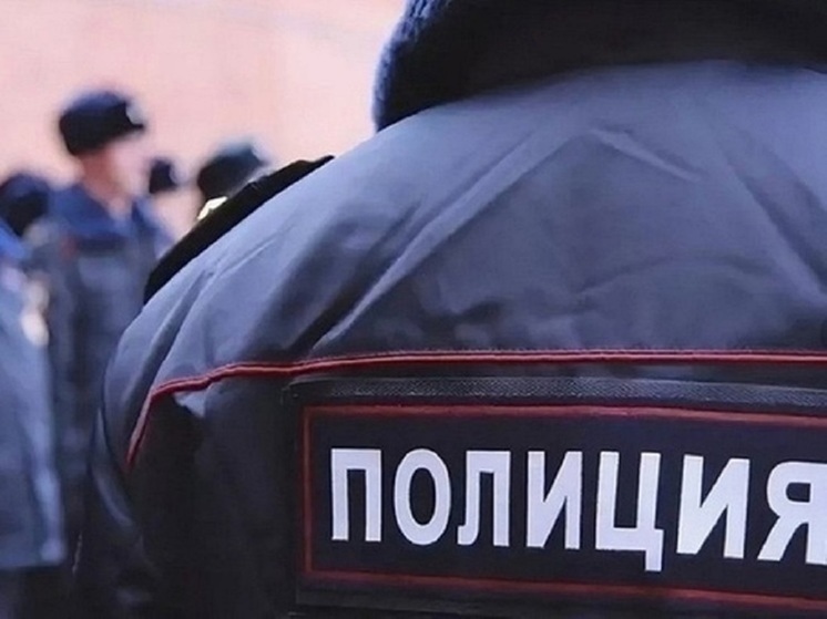 За нападение на полицейского женщину из Красноселькупа посадили почти на 2 года
