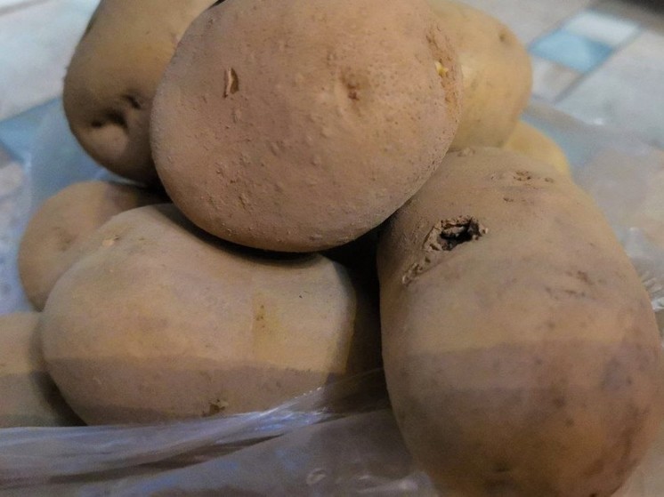 Жители РФ обсуждают гибель мужчин от гниющего картофеля в Приморье