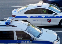 В Москве неизвестные подбросили свиную голову под дверь квартиры военного эксперта Константина Сивкова