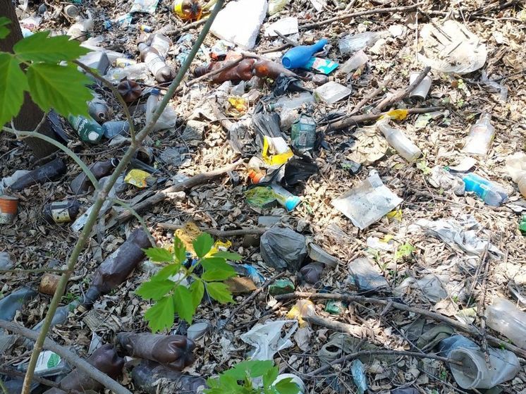 Мэр Белогорска прокомментировал выступление Валентины Матвиенко по поводу «мусорной реформы»