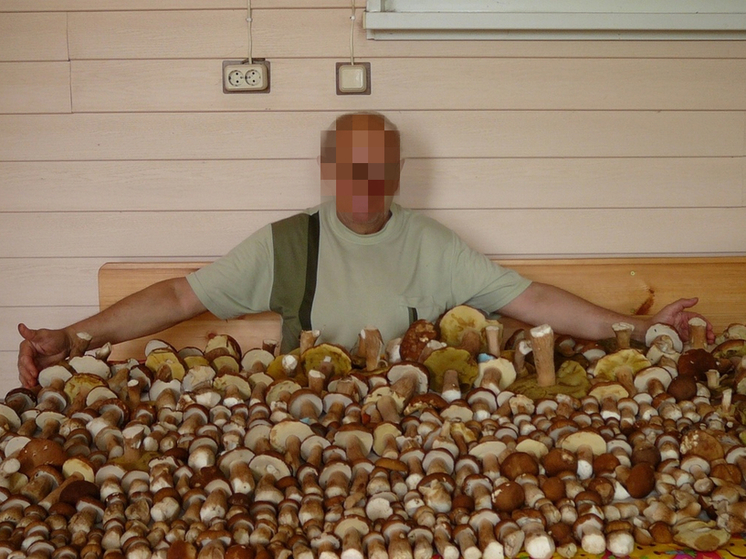 Житель Кондопоги собрал целый стол грибов, чем вызвал ненависть земляков
