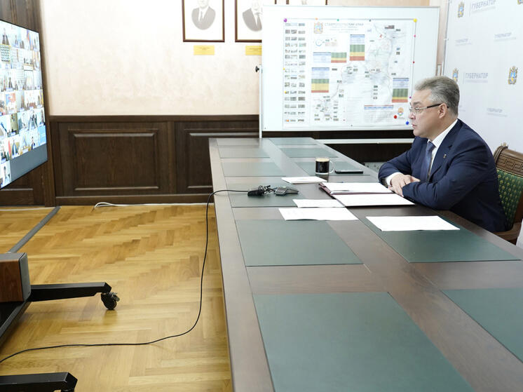 В последние годы проекты такой направленности на Ставрополье успешно реализуют молодежные организации, творческие, спортивные, военно-патриотические объединения, казачьи общества