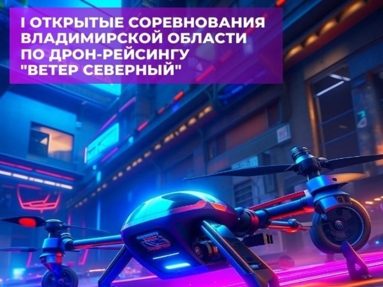 В Камешковском районе пройдут гонки дронов "Ветер Северный"