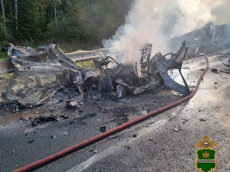 Три человека погибли в ДТП с большегрузом Daf в Калужской области в среду, 27 сентября