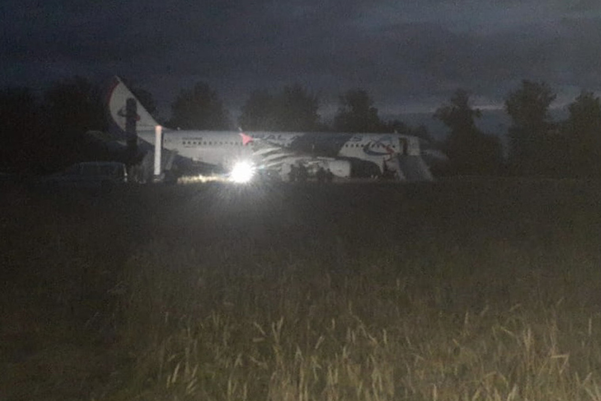 A plane that crash-landed in a wheat field became a wedding venue