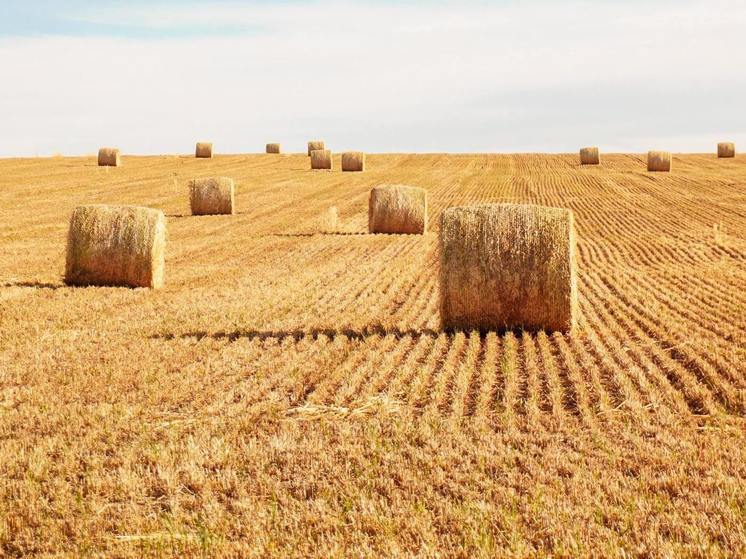 Синоптики 28 сентября предсказывают в Смоленске ясную погоду