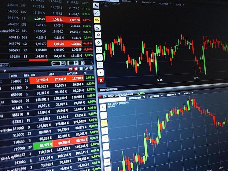 Смолянка потеряла кредитные деньги на псевдо-бирже