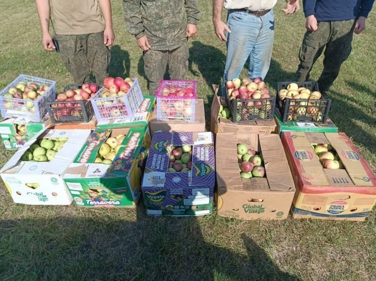 В Курской области волонтеры передали военнослужащим порядка 300 кг местных яблок