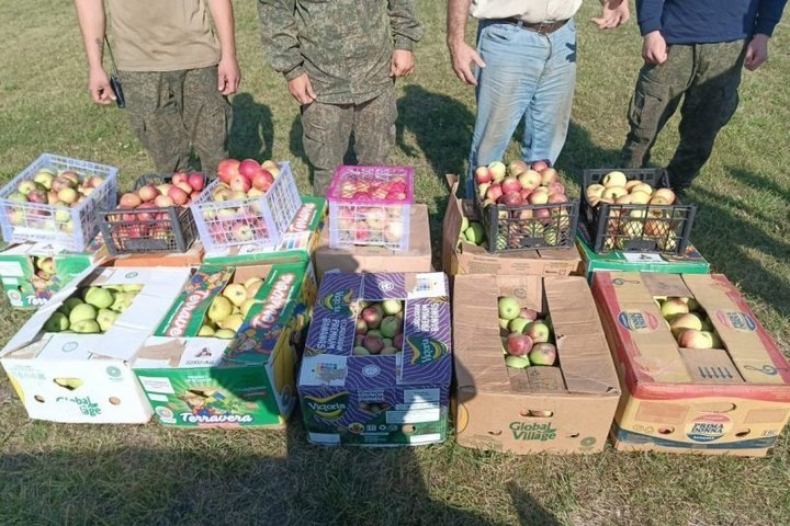 В Курской области волонтеры передали военнослужащим порядка 300 кг местных яблок