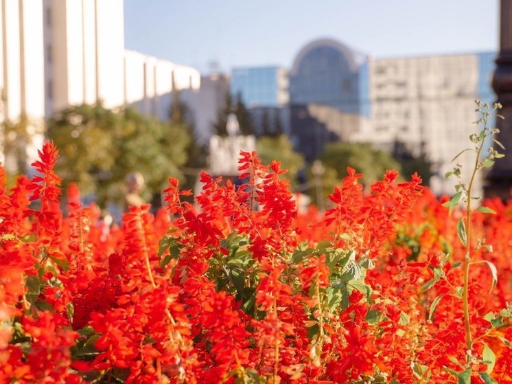 Озвучен прогноз погоды в Хабаровске на 28 сентября