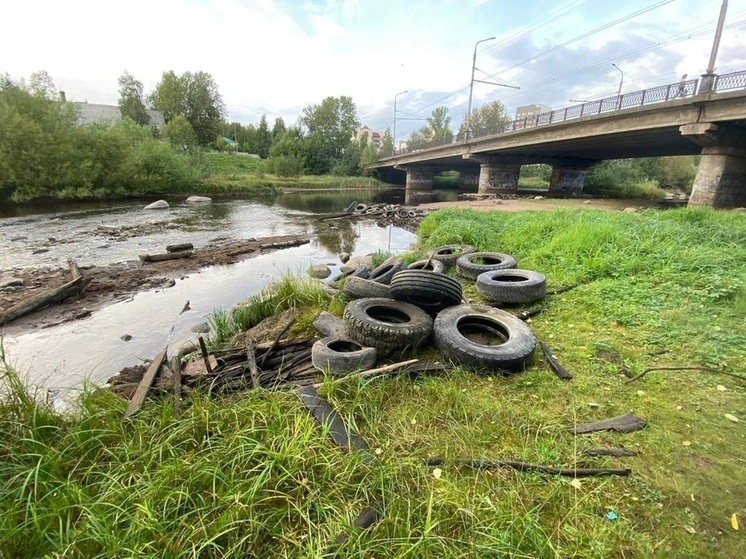 Три тонны старых покрышек подняли со дна Лососинки в Петрозаводске