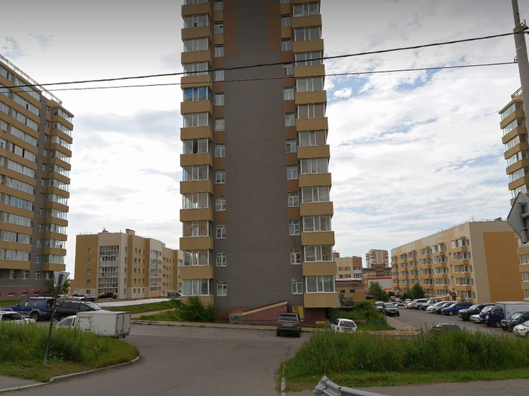 Житель Петропавловска-Камчатского выбросил кошку с пятого этажа