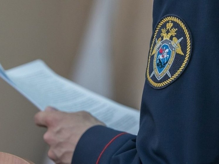Следственный комитет России попросили проверить выявление ОКН в Нижнем Новгороде