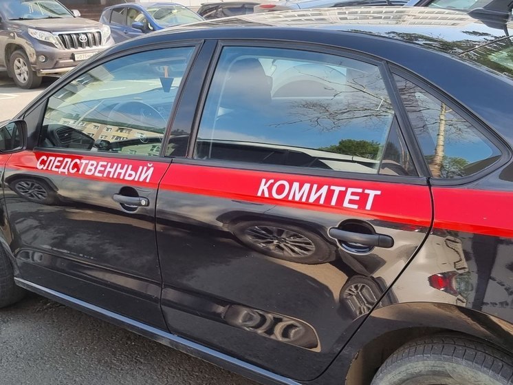 Десятилетняя девочка пропала в Южно-Сахалинске