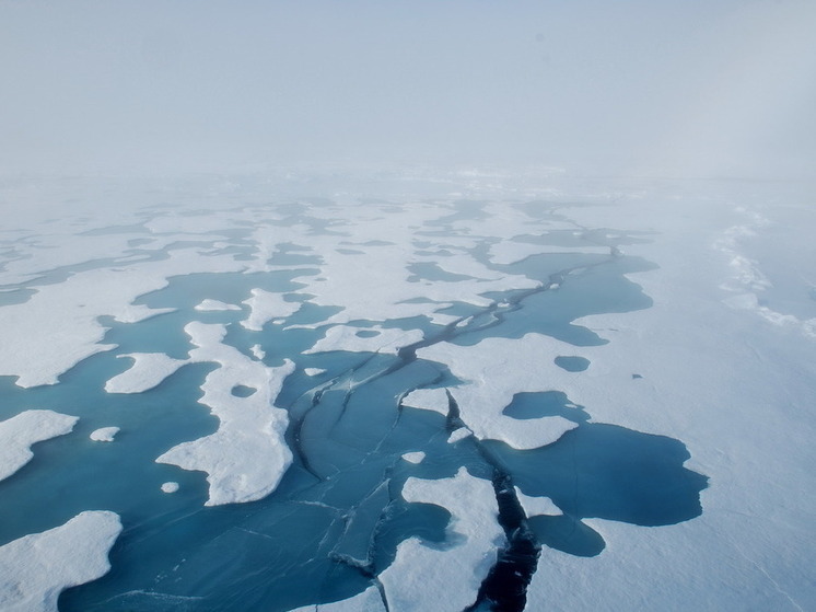 Китай может стать технологическим партнером в развитии СМП