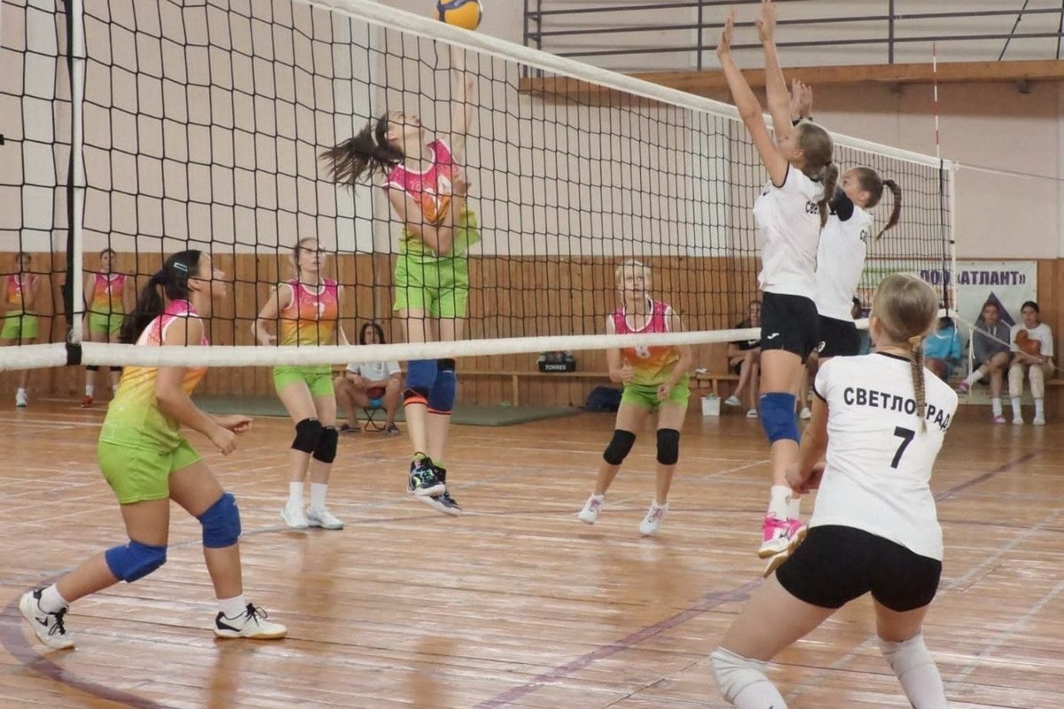 Volleyball players from Stavropol distinguished themselves at the All-Russian tournament