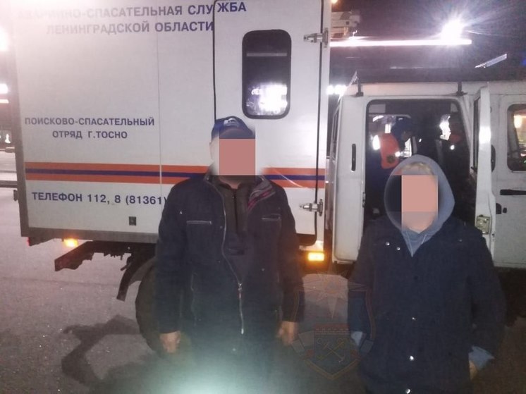 Спасатели вывели заблудившихся мужчину и женщину из леса около поселке Торковичи