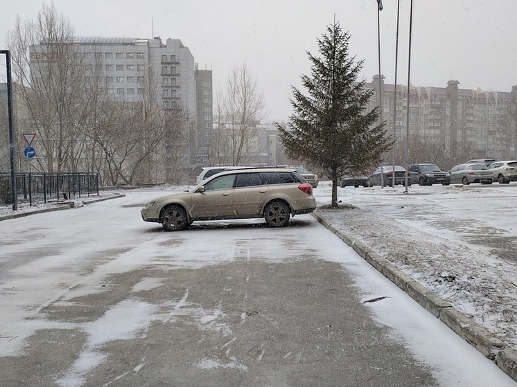 Снегопад в течение шести дней ожидается в Новосибирске в октябре 2023 года