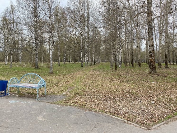 Архангелогородцы хотят скорейшего преображения Ломоносовского парка