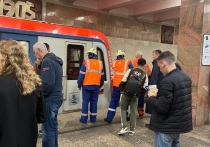 Человек упал под поезд на станции «Улица 1905 года» Таганско-Краснопресненской линии метро