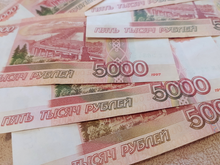 30 млрд рублей направят на соцподдержку в Подмосковье