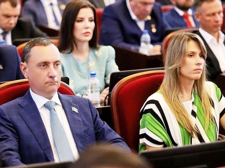 Депутат ЗСК Виктор Тепляков присоединился к очередному пленарному заседанию краевого парламента