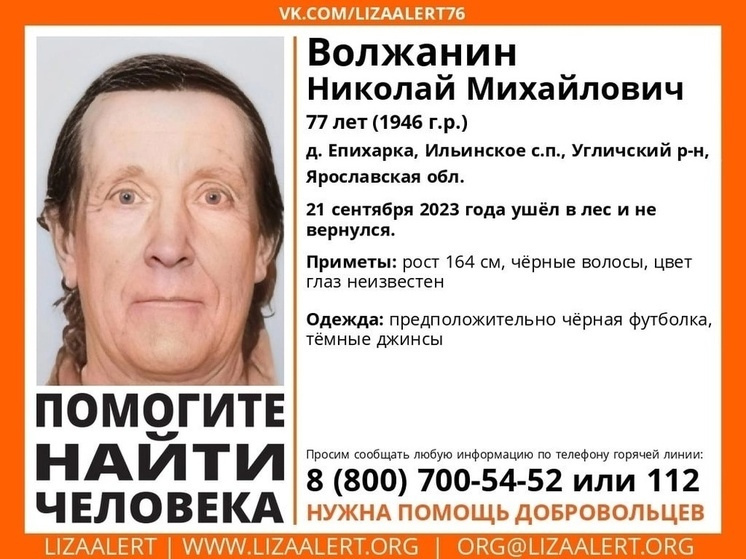 Ярославские поисковики уже неделю не могут найти лесного потеряшку