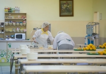 Большую часть школ РФ обеспечивают горячим питанием обучающихся с первого по четвертый классы, старшеклассников же этот вид соцподдержки не затрагивает