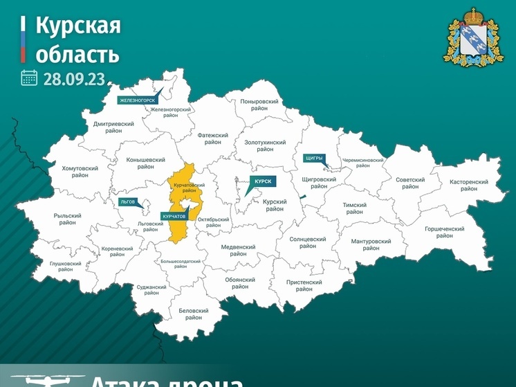 Система ПВО сбила украинский беспилотник в Курской области