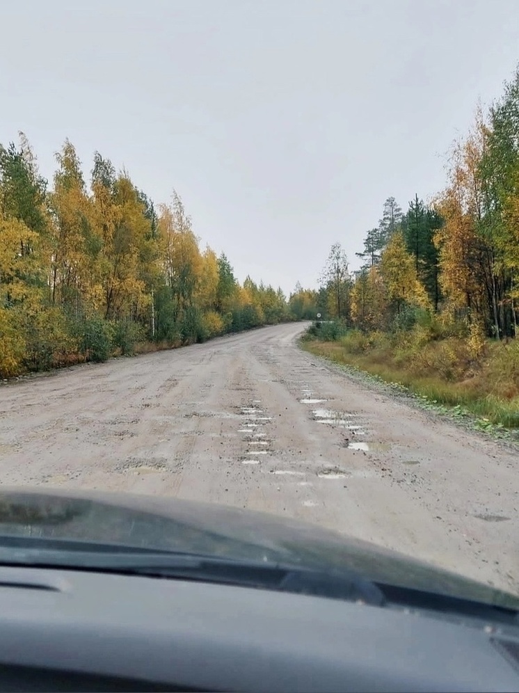 Пенсионерка в Карелии с молодости ждет ремонта дороги, которая ведет в деревню