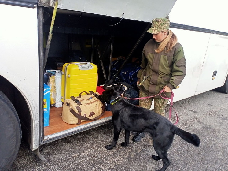 В Смоленской области задержаны наркотики в международном рейсовом  автобусе