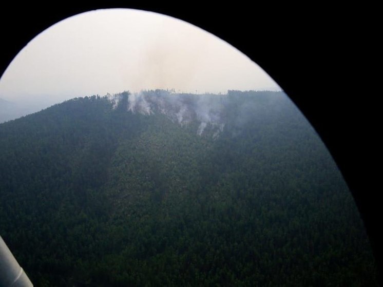 Три лесных пожара локализовали в Приангарье за сутки
