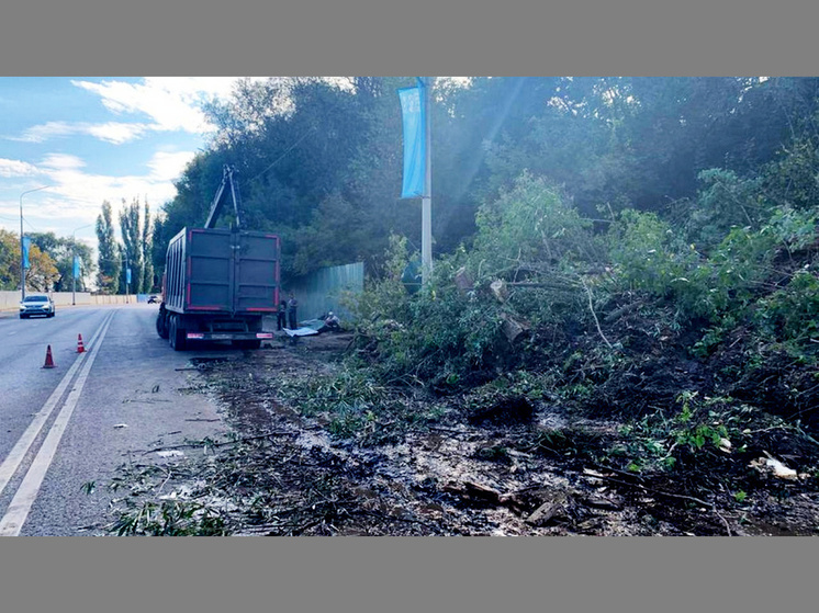 В Воронеже ввели режим повышенной готовности из-за обрушения склона на набережную Массалитинова