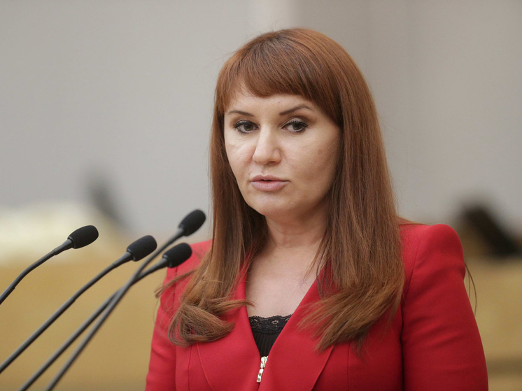 Депутат также посетовала на излишний вес учебных пособий