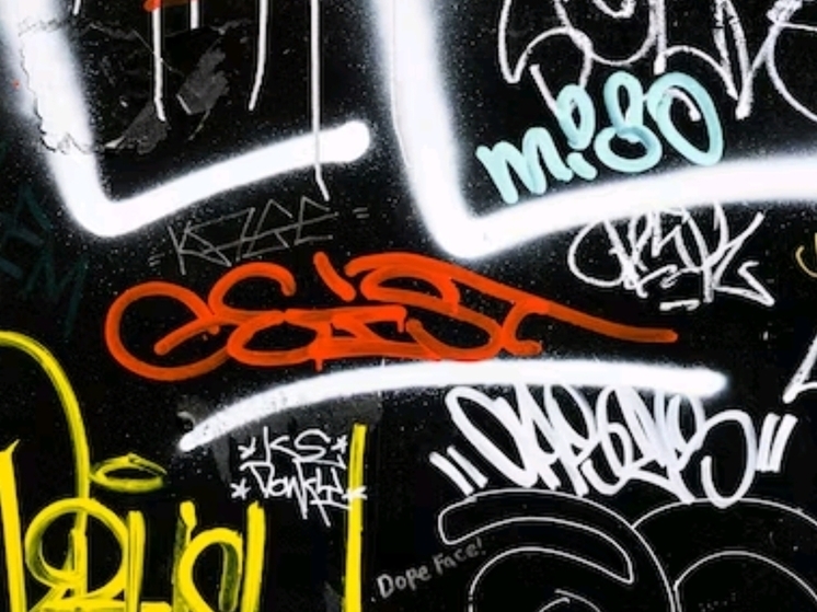 Жители Ижевска подали жалобы на 125 рекламирующих наркотики граффити на стенах