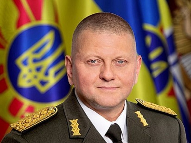 Главком ВСУ Валерий Залужный призвал Великобританию помочь Украине усилить систему ПВО