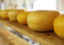 Моцарелла, фета, козий сыр и пармезан – это самые полезные сыры для организма человека. Об этом рассказала диетолог Ирина Писарева.