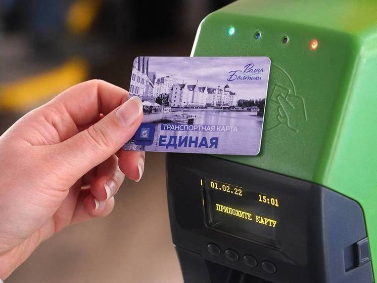 В калининградских электричках хотят внедрить проезд по карте «Волна Балтики»