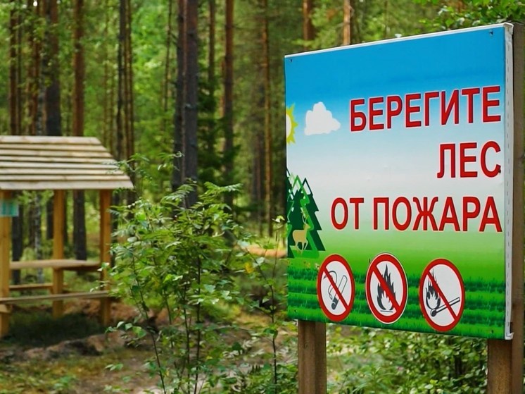 Владимирцев предупредили о высокой пожарной опасности