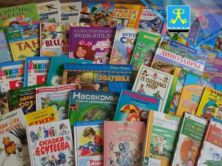 В Муравленко объявили сбор детских книг для садика Волновахи
