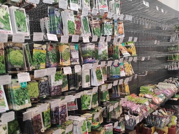 В столице Бурятии продавали непроверенные семена овощей