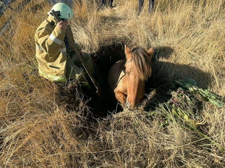Пожарники Якутии спасли провалившуюся в яму лошадь