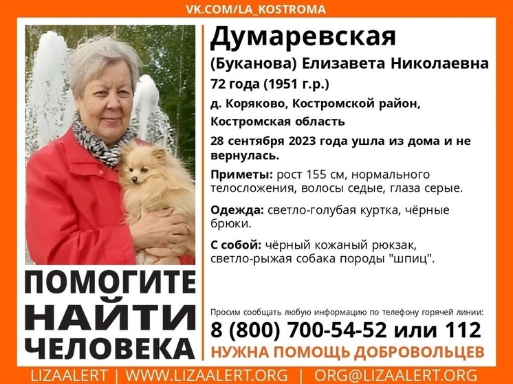 В Костромской области разыскивают пенсионерку со шпицем