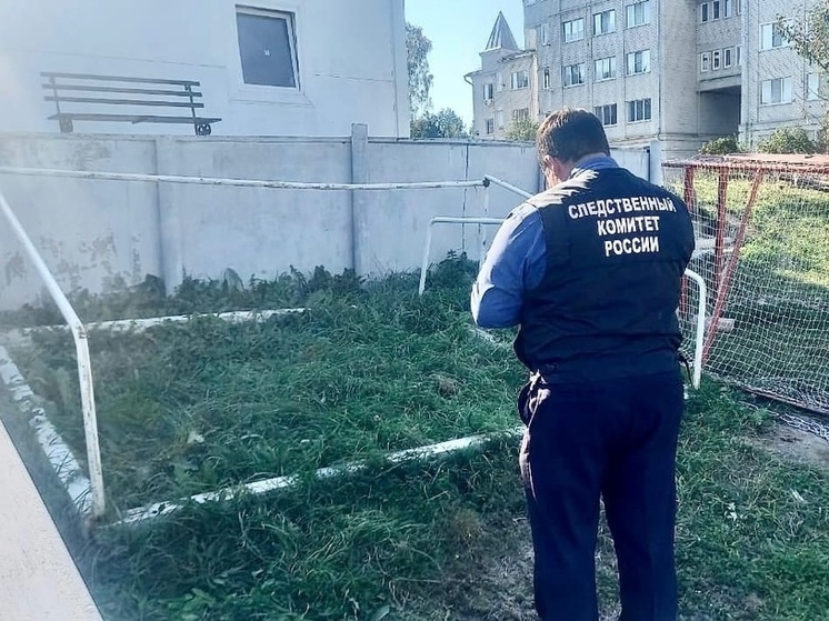 В Липецкой области футбольные ворота придавили 12-летнего ребенка