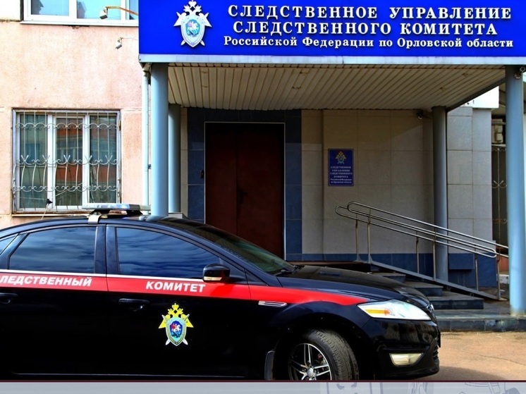 Орловский СК возбудил уголовное дело по факту ДТП с 3-летним ребёнком