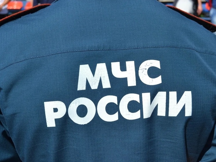 Минометную мину обезвредили в Псковской области