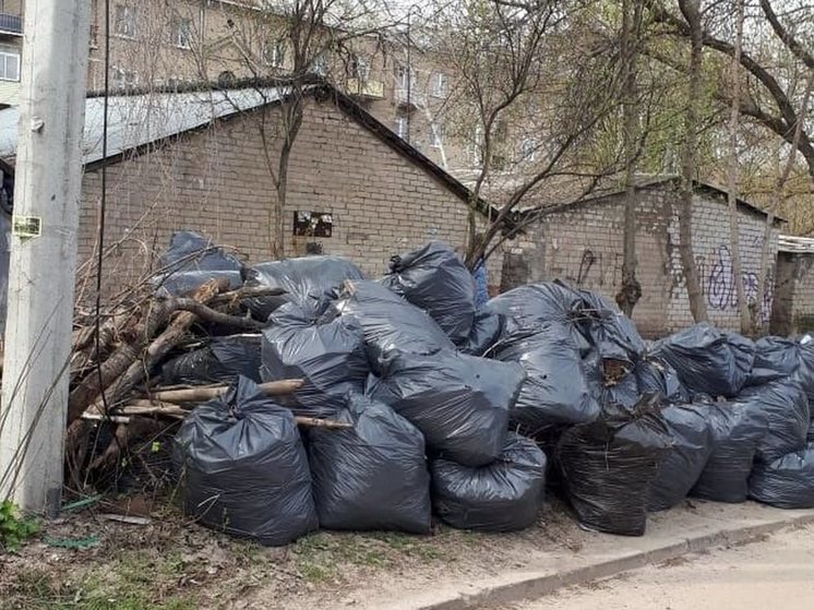 В Воронеже со 2 октября начнется генеральная уборка города