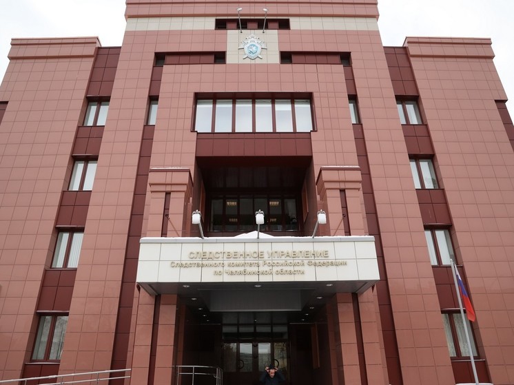 Следователи начали проверку после нападения собак на девочку в Магнитогорске