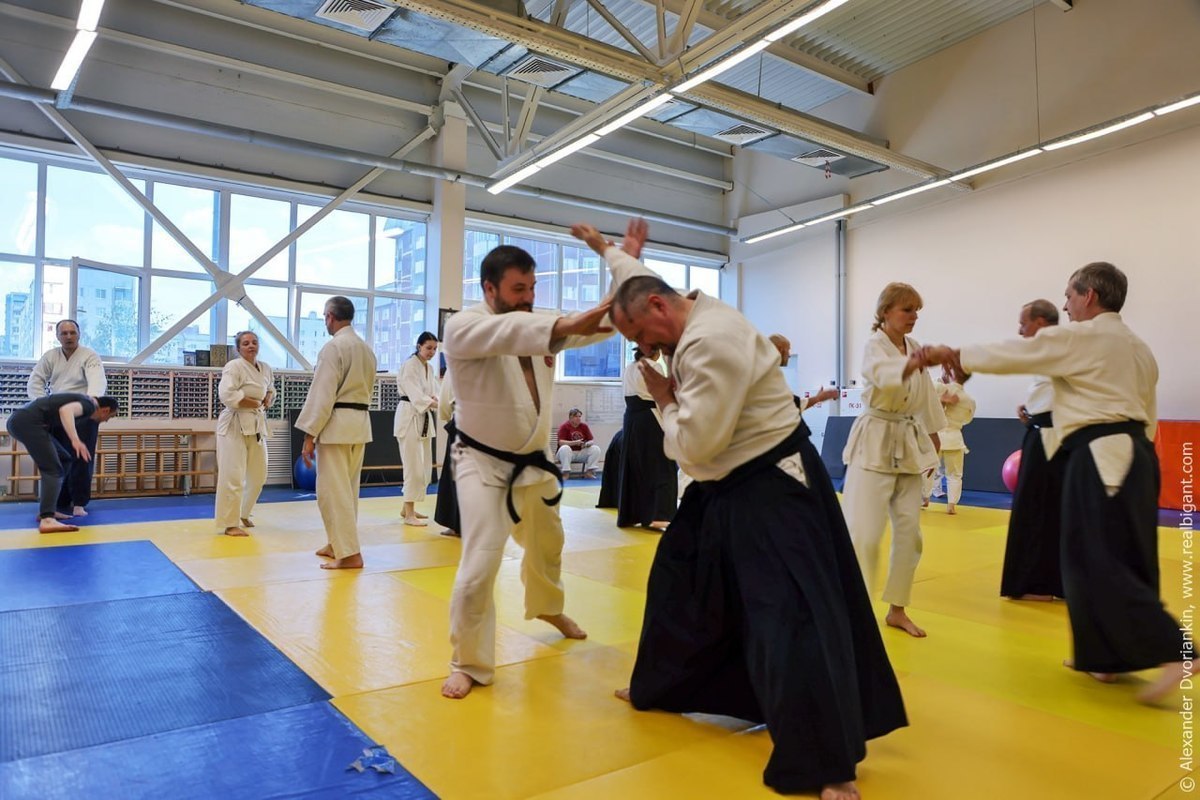 Serpukhovich residents are invited to the Aikido Academy open day
