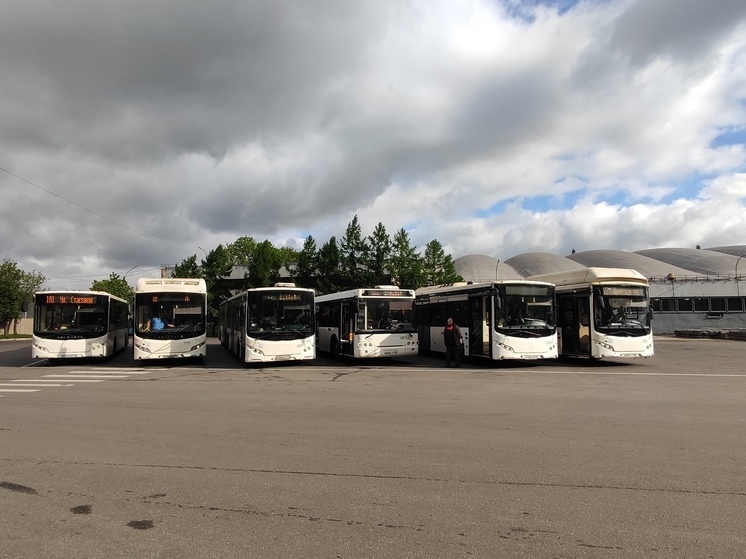В Кингисеппе возобновят несколько автобусных маршрутов с 1 октября
